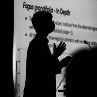 Silohette of scholar giving oral presentation.